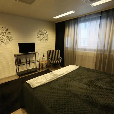 ホステル Majoituspalvelu Linnan Welho *